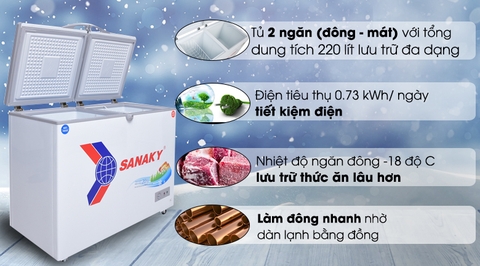 Tủ đông Sanaky 280 lít VH-4099W1