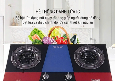 Bếp gas âm Rinnai RVB-2Gi(B) /(MC)