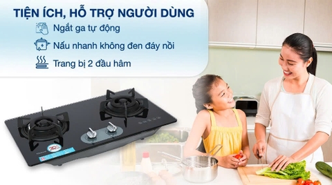 Bếp ga âm Rinnai RVB-220G(BG) / (B)
