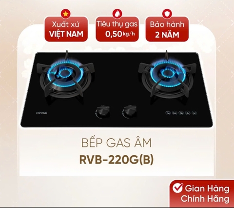 Bếp ga âm Rinnai RVB-220G(BG) / (B)