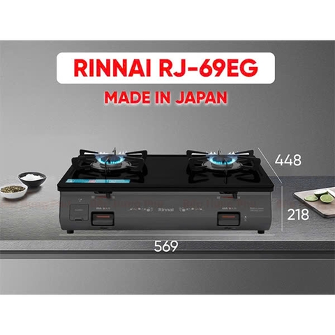 Bếp Gas Dương Rinnai RJ-69EG