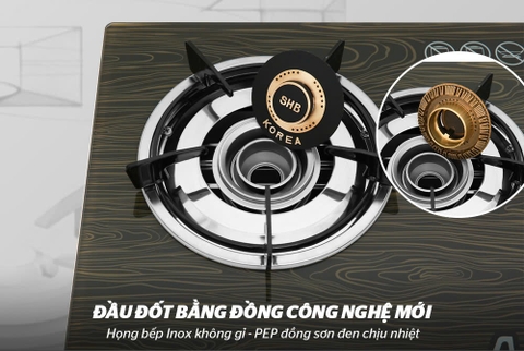 Bếp ga dương kính cao cấp APEX APB3551