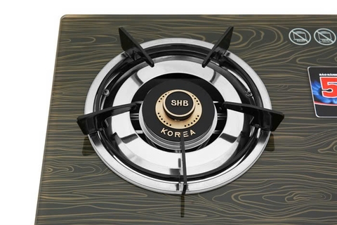 Bếp ga dương kính cao cấp APEX APB3551