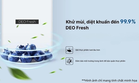 Tủ Lạnh Aqua Inverter 283 Lít AQR-T299FA(SL)