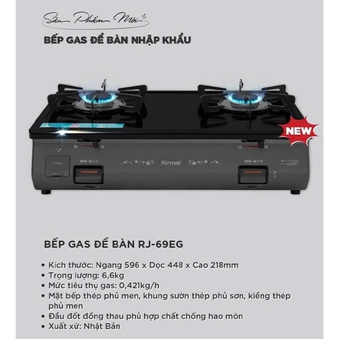 Bếp Gas Dương Rinnai RJ-69EG