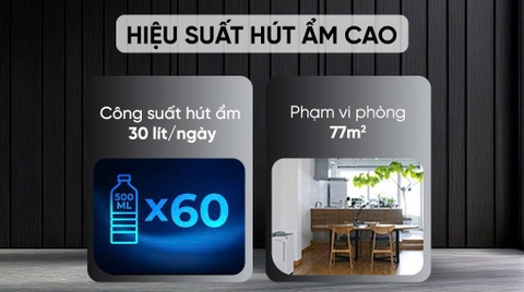 Máy hút ẩm Sharp DW-T30HV-W