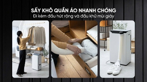 Máy hút ẩm Sharp DW-T30HV-W