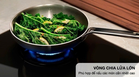 Bếp ga âm Electrolux EHG7202BF