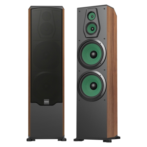 Loa đứng karaoke và nghe nhạc Paramax F2500