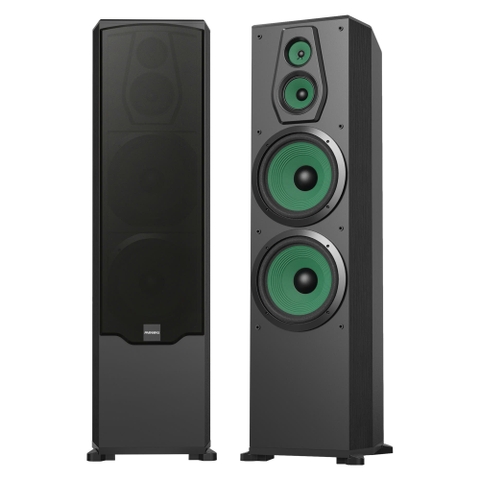 Loa đứng karaoke và nghe nhạc Paramax F2500