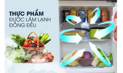 Tủ lạnh Funiki FR-51DSU tủ mini 50 lít