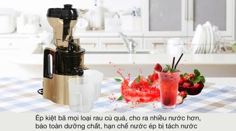 Máy ép chậm Ferroli FSJ-200M