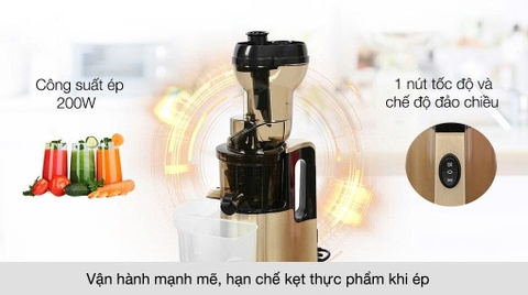 Máy ép chậm Ferroli FSJ-200M