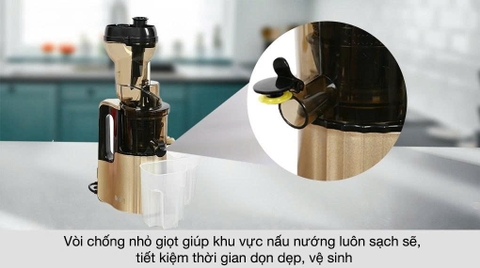 Máy ép chậm Ferroli FSJ-200M