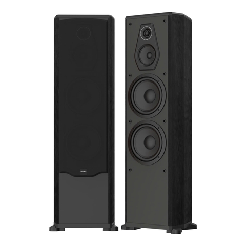 Loa đứng karaoke và nghe nhạc Paramax FX-1500