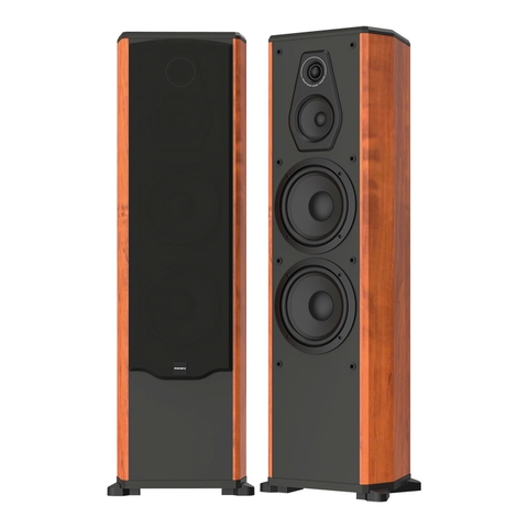 Loa đứng karaoke và nghe nhạc Paramax FX-1500