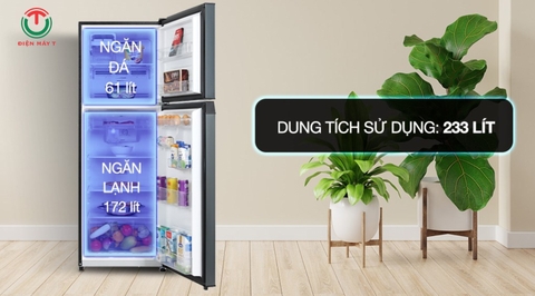 Tủ lạnhToshiba Inverter 233 lít GR-RT303WE-PMV(52)