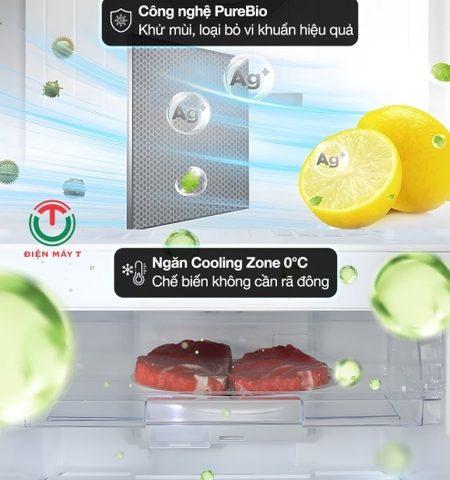 Tủ lạnhToshiba Inverter 233 lít GR-RT303WE-PMV(52)