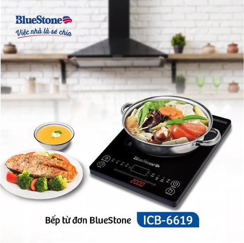 Bếp từ BlueStone ICB-6619