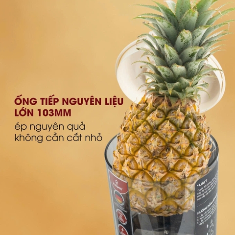 Máy Ép Chậm Kalpen J10