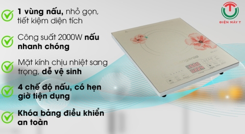 Bếp từ Kangaroo KG418I