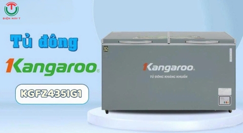 Tủ đông kháng khuẩn Kangaroo Inverter 375 lít KGFZ435IG1