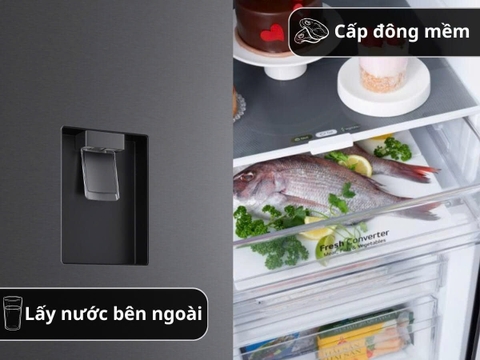 Tủ lạnh LG Inverter 332 lít LBD33BLM