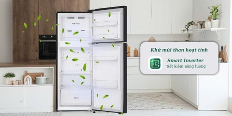 Tủ lạnh LG Inverter 217 lít LTB21BLMI