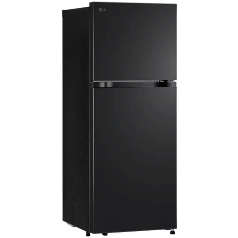 Tủ lạnh LG Inverter 217 lít LTB21BLMI