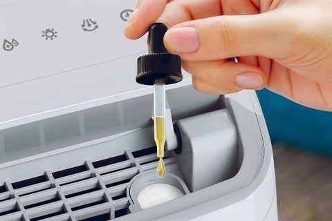 Máy hút ẩm Philips DE3306/11