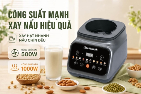 Máy làm sữa hạt đa năng Bluestone BLB-6041