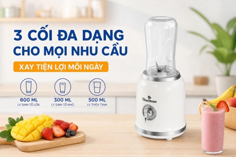 Máy xay sinh tố BlueStone BLB-5308 - 300W
