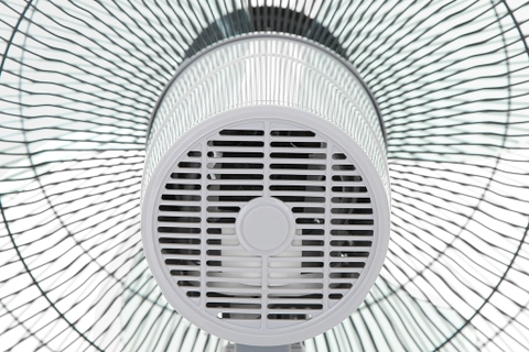 Quạt đứng Sharp PJ-S40RV-LG