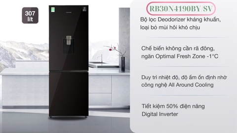 Tủ lạnh Samsung Inverter 307 lít RB30N4190BY/SV