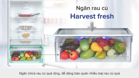 Tủ lạnh Beko Inverter 422 lít RDNT470I50VK