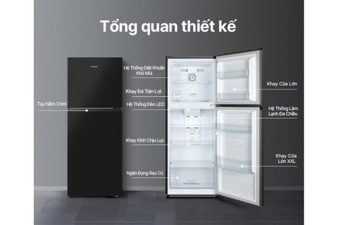 Tủ lạnh Hisense Inverter 205 lít RT256N4EBN