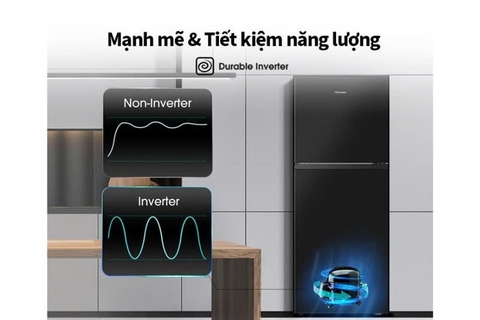 Tủ lạnh Hisense Inverter 205 lít RT256N4EBN
