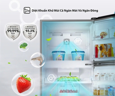 Tủ Lạnh Hisense Inverter 424 Lít RT549N4EBU