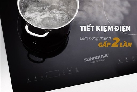 Bếp từ đôi lắp âm Sunhouse SHB9101