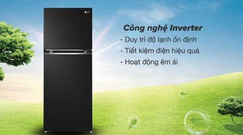 Tủ lạnh LG Inverter 217 lít T21BG [ Mới ]