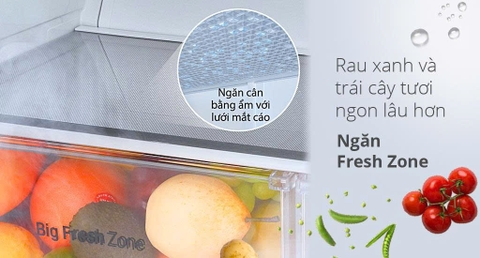 Tủ lạnh LG Inverter 266 lít T26BG [ Mới ]