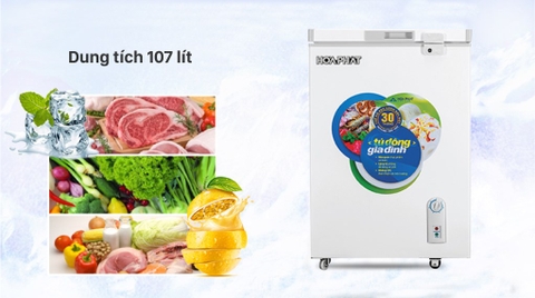Tủ đông Hòa Phát HCF 106S1Đ