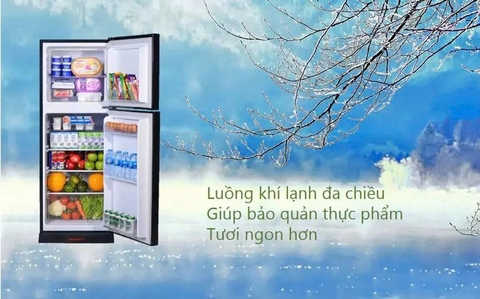 Tủ Lạnh Sanaky 185 Lít VH-198HPD