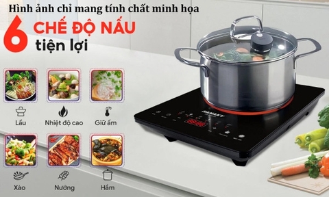 Bếp hồng ngoại đơn Sanaky VH3100HG