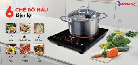 Bếp Hồng Ngoại Đơn Sanaky VH-6100HG