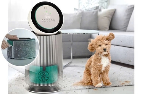 Máy lọc không khí LG PuriCare 360 Alpha Single AS65GDBY0