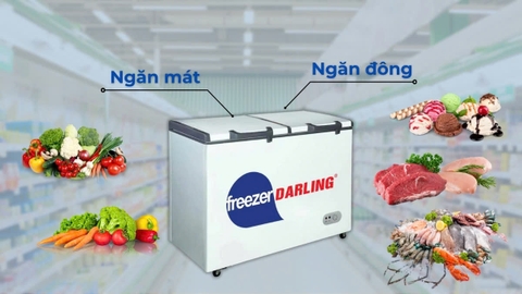 Tủ Đông/ Mát 2 Ngăn Darling DMF-2688W2