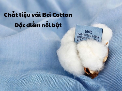 BCI cotton là loại vải gì?
