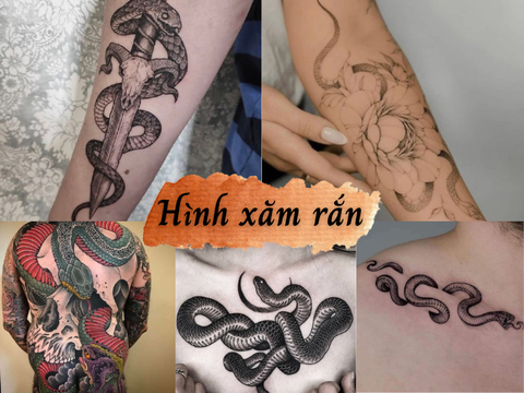 Hình xăm rắn Bấm TRUY CẬP để liên hệ  Hình xăm Xăm Hình xăm đẹp