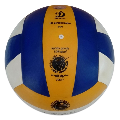 Bóng chuyền Động Lực 200